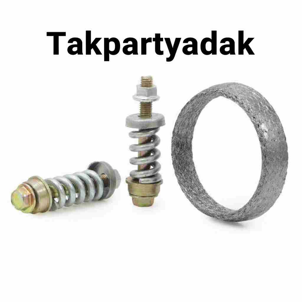 واشر گلویی اگزوز پژو ۴۰۵ گرافیتی کیت کامل
